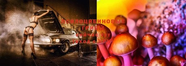 молекула духа Алзамай