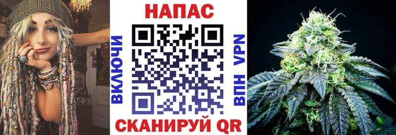 купить наркотики цена  Бакал  Бошки марихуана гибрид 